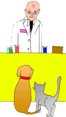 Cat and Dog at Pharmacy