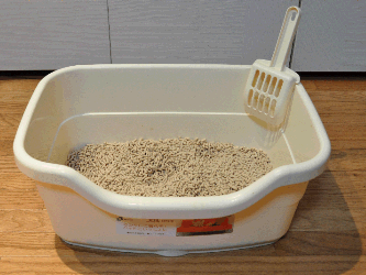 picture of a litter box
