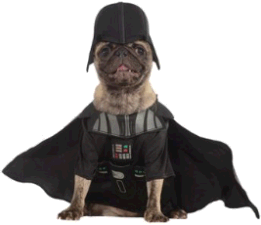 Pug Darth Vader