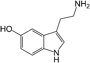 Serotonin: a neurotransmitter that makes us happy