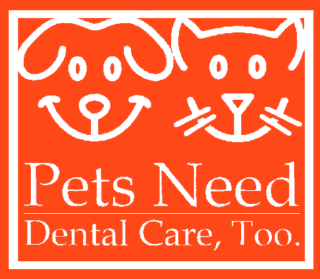 Pets Need Dental Care too banner