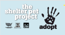 The Shelter Pet Project Logo