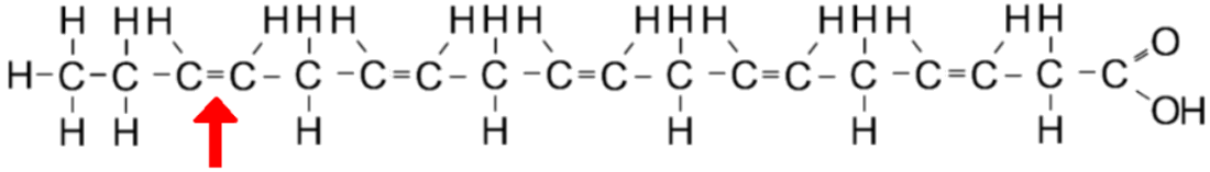 molecular chain of Docosahexanoic acid