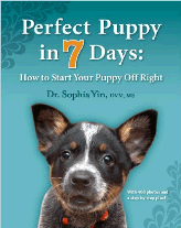 Perfect Puppy in 7 Days