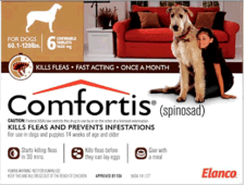 Comfortis