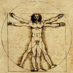 vitruvian man