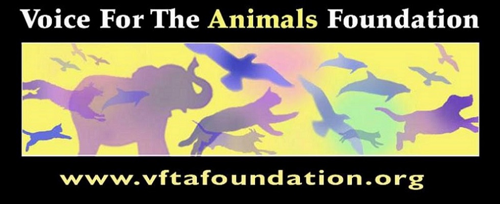 Vocie for the Animals Foundation logo Vocie for the Animals Foundation logo