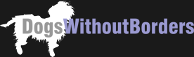 Dogs Without Borders logo Dogs Without Borders logo