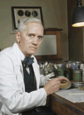 Alexander Fleming wiki