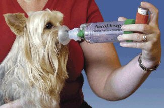 AeroDawg inhaler device