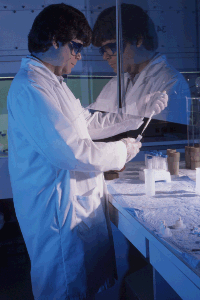 Image of lab technician performing blood testing