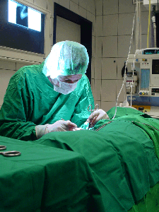 Dr. in Surgery