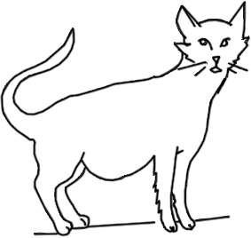 cat illustration