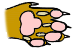 tendonectomy tendonectomy