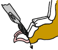 DECLAW: THE DISARTICULATION METHOD DECLAW: THE DISARTICULATION METHOD