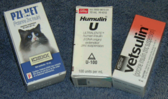 INSULIN INSULIN