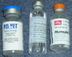 INSULIN INSULIN
