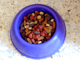 Bowl of Pet Food