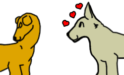 flirting dogs flirting dogs