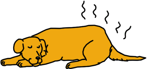 flatulent_dog_sleeping