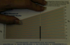 The packed cell volume is measured by placing a blood sample in a small glass tube called a "capillary tube." The packed cell volume is measured by placing a blood sample in a small glass tube called a "capillary tube."