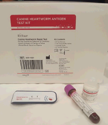 An example of an ELISA test for in house use.