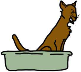 straining cat straining cat