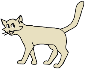 soiling cat soiling cat