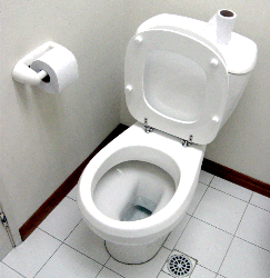 toilet / bathroom