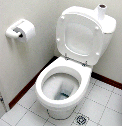 toilet / Bathroom