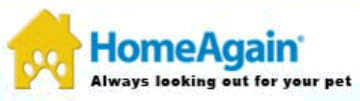 Home Again Banner Home Again Banner
