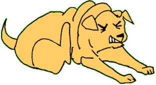 scratching dog scratching dog