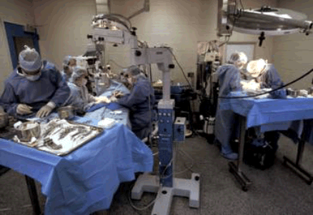 Kidney Surgery