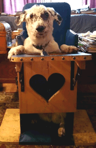 Ducky in a purchased Bailey chair.