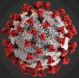 SARS-CoV2 virus