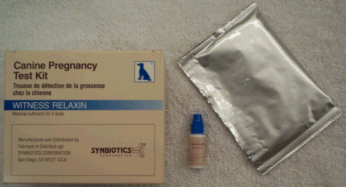 Image of a Canine Pregnancy Test