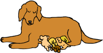 Cartoon image of puppies nursing