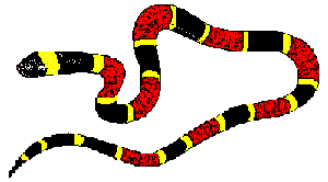 clip art of coral snake