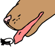illustration of dog swallowing flea carrying tapeworm