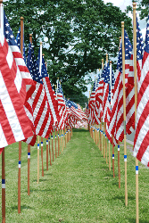 flags in a row