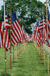 flags in a row