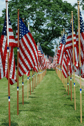 flags in a row flags in a row