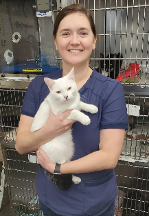 Staff Member Holding White Cat