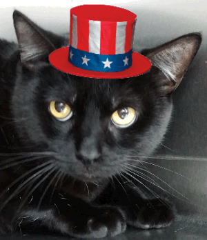 Ragna - Black Cat - Patriotic Hat