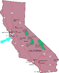 flu outbreak map