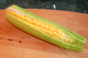 corn on the cob