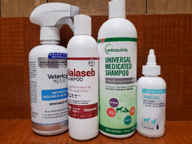 Medicated Shampoos